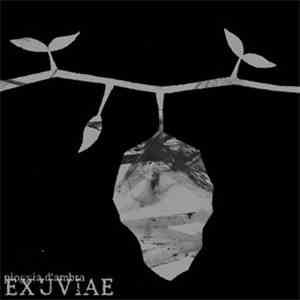 Pioggia D'Ambra - Exuviae