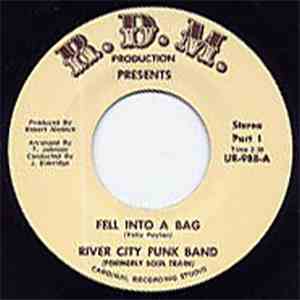 River City Funk Band - Fell Into A Bag