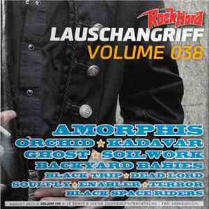 Various - Lauschangriff Volume 038