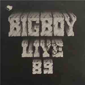 Bigboy  - Stupid Girl / I Gotta Tell You