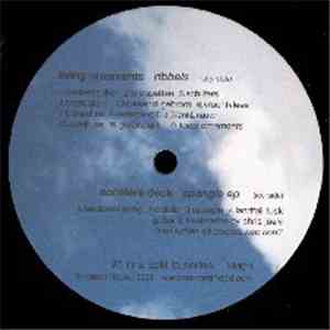 Living Ornaments / Accelera Deck - Split LP Series #1 - Living Ornaments /  ...