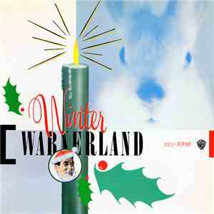 Various - Winter Warnerland