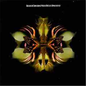 Border Crossing - More To Life (Ominous)