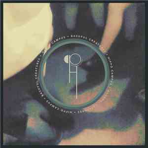 Hippo Campus - Bashful Creatures