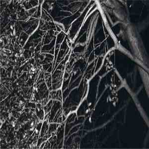 Inez Lightfoot - Live