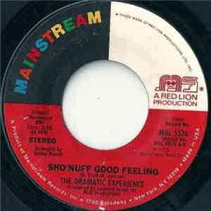 The Dramatic Experience - Sho'Nuff Good Feeling / Someday Somewhere