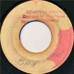 The Marvels / The Upsetters - Some Day We'll Be Together / Bab Thief