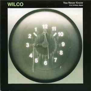 Wilco - You Never Know