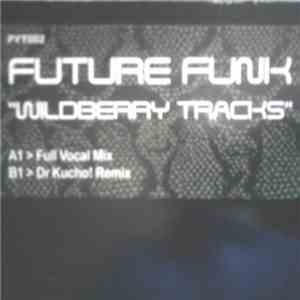 Future Funk - Wildberry Tracks