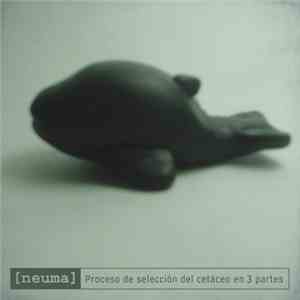 [neuma] - Proceso De Seleccion Del Cetaceo En Tres Partes