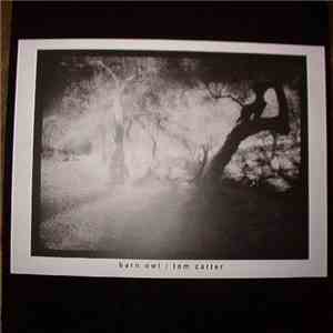 Barn Owl / Tom Carter - Barn Owl / Tom Carter