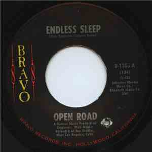 Open Road  - Endless Sleep/Gardener Junction