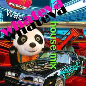 Ralph Falcon - Whateva