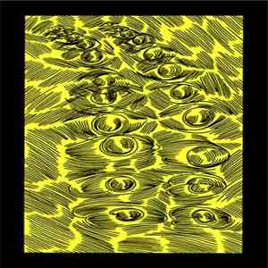 Andy Ortmann - Misinterpolations