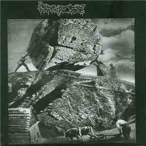 Reorganize! - Reorganize!