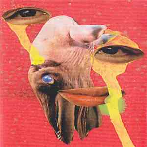 Body Morph - Centipedes