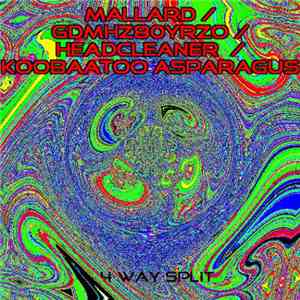 Mallard  / GDMHZ80YRZO / Headcleaner  / Koobaatoo Asparagus - 4 Way Split