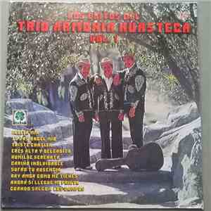 Trio Armonia Huasteca - Los Exitos del Trio Armonia Huasteca Vol.1