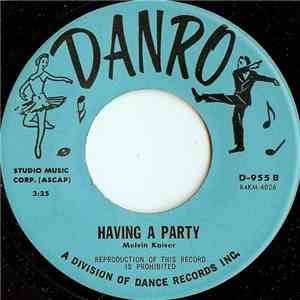 Unknown Artist - Having A Party