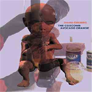 David Grubbs - The Coxcomb / Avocado Orange