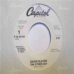 David Slater - The Other Guy