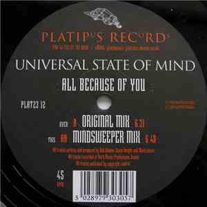 Universal State Of Mind - All Because Of You