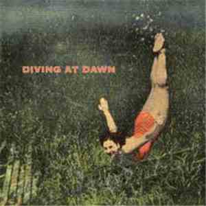 Diving At Dawn - A Lot Like Love / The Spinney