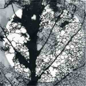 Jefre Cantu-Ledesma & Paul Clipson - Constellations Of Spring