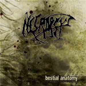Necropsy  - bestial anatomy