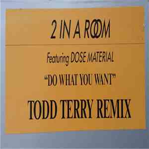 2 In A Room Featuring Dose Material - Do What You Want (Todd Terry Remix)