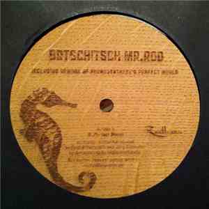 Brtschitsch & Mr.Rod - Perfect World EP