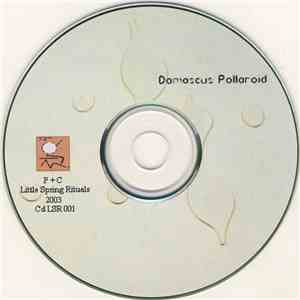 Damascus Pollaroid - Damascus Pollaroid