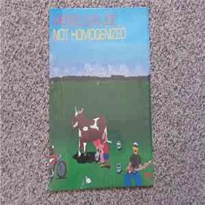 Mendelson Joe - Not Homogenized