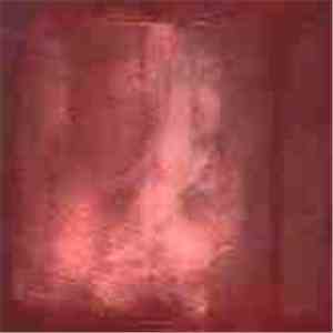 Rainer Maria - Past Worn Searching