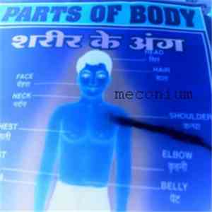 Meconium  - Parts Of Body