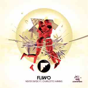 Fliwo - Never Divide