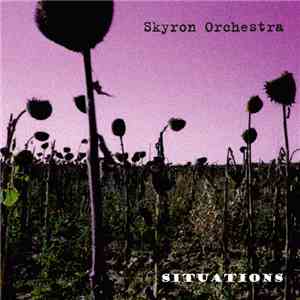 Skyron Orchestra - Situations