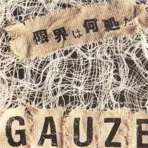 Gauze - 限界は何処だ