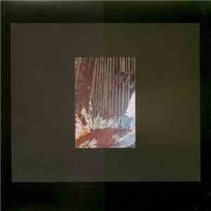 Jeph Jerman - The Bray Harp