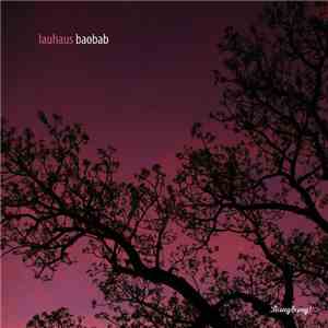 Lauhaus - Baobab