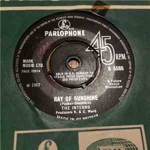 The Interns  - Ray Of Sunshine