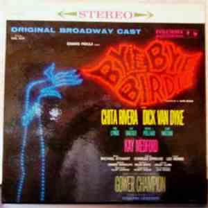Bye Bye Birdie Original Broadway Cast with Chita Rivera, Dick Van Dyke , Pa ...
