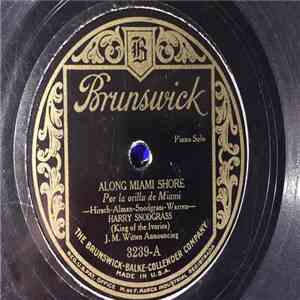 Harry Snodgrass  - Along Miami Shore / Maple Leaf Rag
