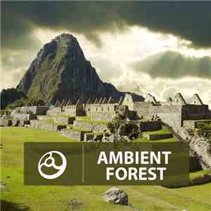 Various - Ambient Forest