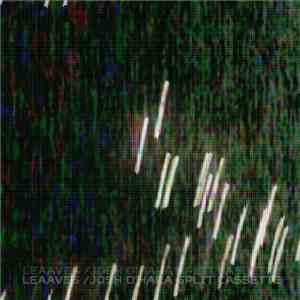 Leaaves / Josh O'Hara - Leaaves / Josh O'Hara Split Cassette