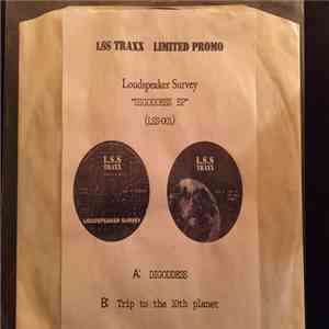 Loudspeaker Survey - Digoddess EP