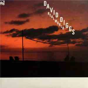 David Diggs - Realworld