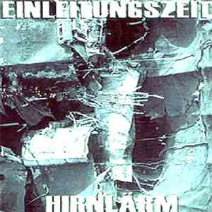 Einleitungszeit - Hirnlärm