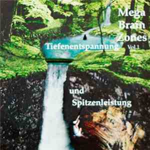 Michael Hutchison  - Mega Brain Zones Vol.1