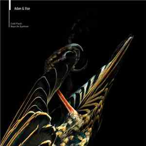 Adan & Ilse - Cold Flesh / Boys In Eyeliner